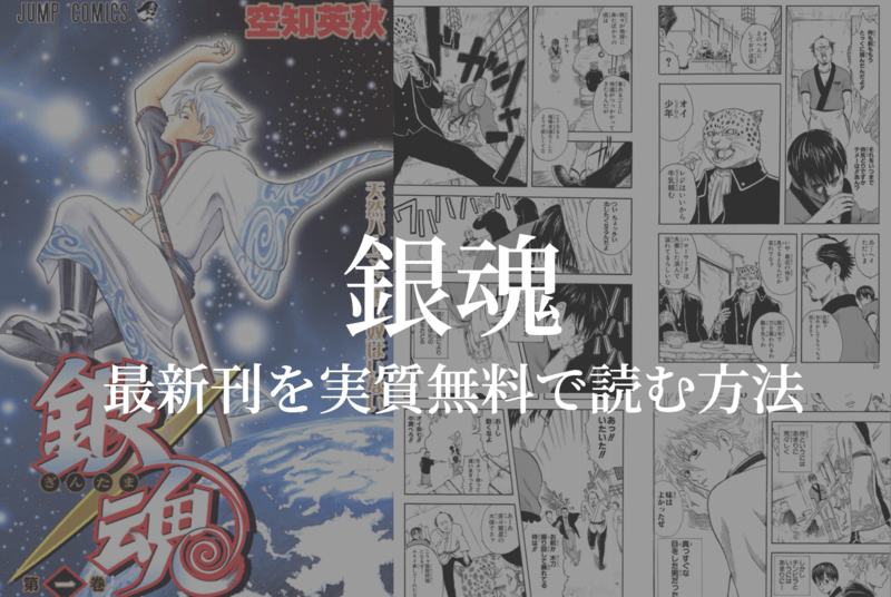 【全77巻】漫画『銀魂』を実質無料で読む方法を紹介する