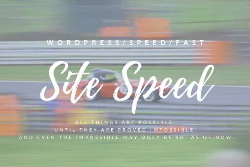 【実例紹介】Wordpressの重いサイトをお任せで高速化してもらった結果…