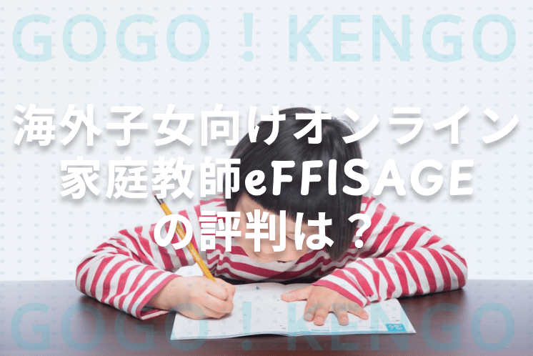 eFFISAGEの評判